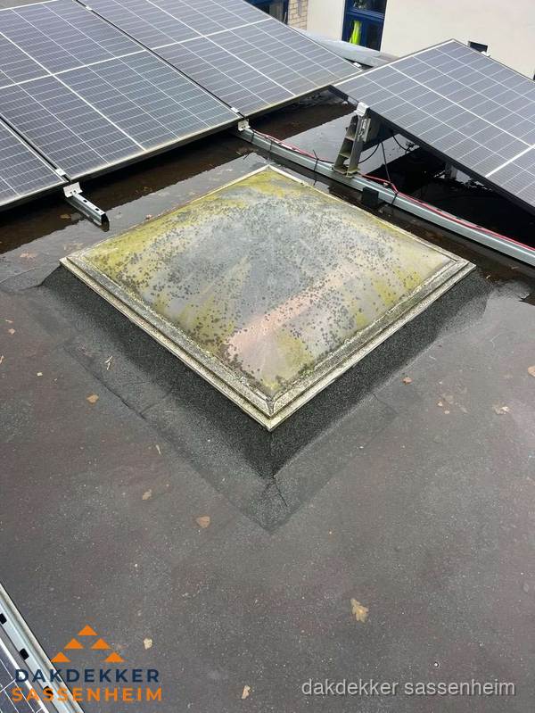 Vervuilde lichtkoepel op plat dak met zonnepanelen in Sassenheim