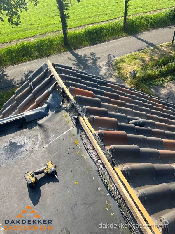 Kosten dakgoot vervangen: werkzaamheden aan dakrand in Sassenheim
