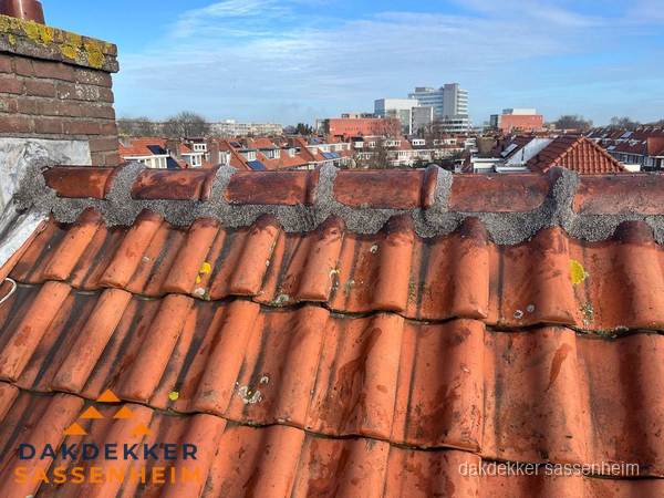 Pannendak met nokvorst en schoorsteen, dakrenovatie in Sassenheim