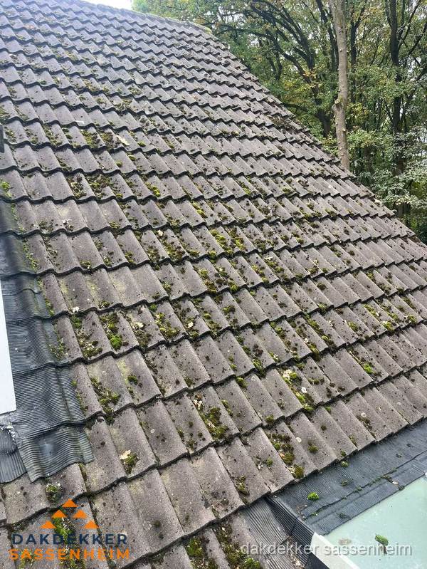 Verweerd pannendak met mosgroei dat renovatie nodig heeft in Sassenheim