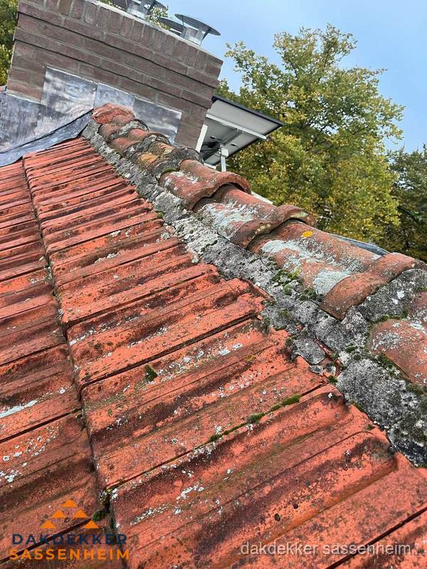Verweerd hellend dak met mosgroei op nokvorst in Sassenheim
